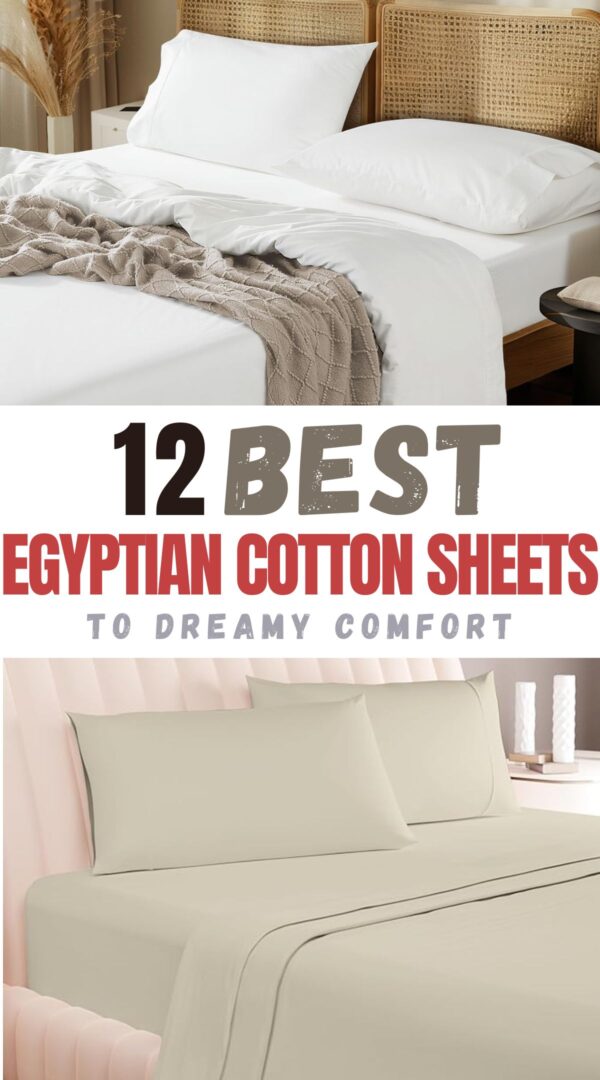 top egyptian cotton sheets