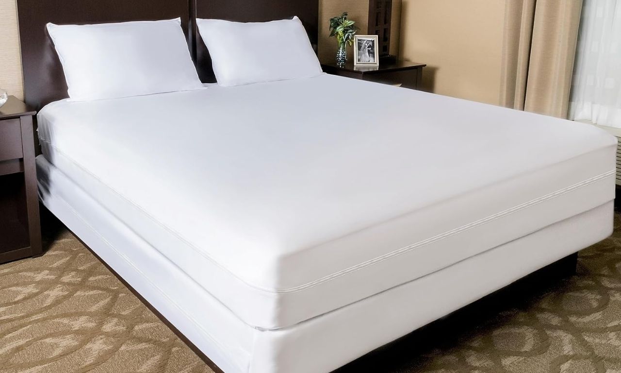best bed bug mattress covers