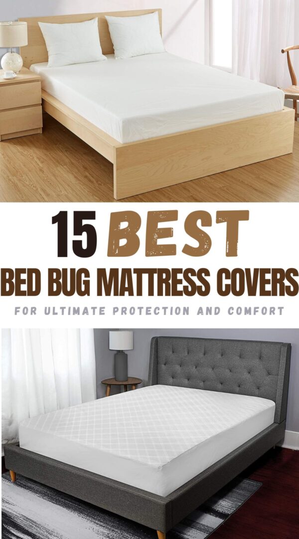 top-rated bed bug mattress covers
