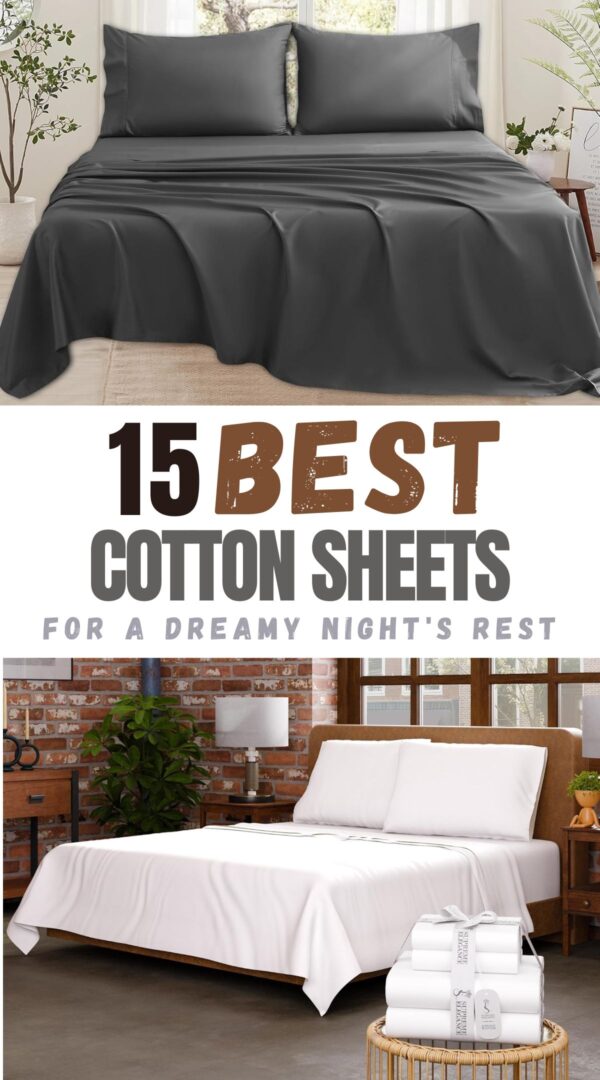 top-rated cotton sheets