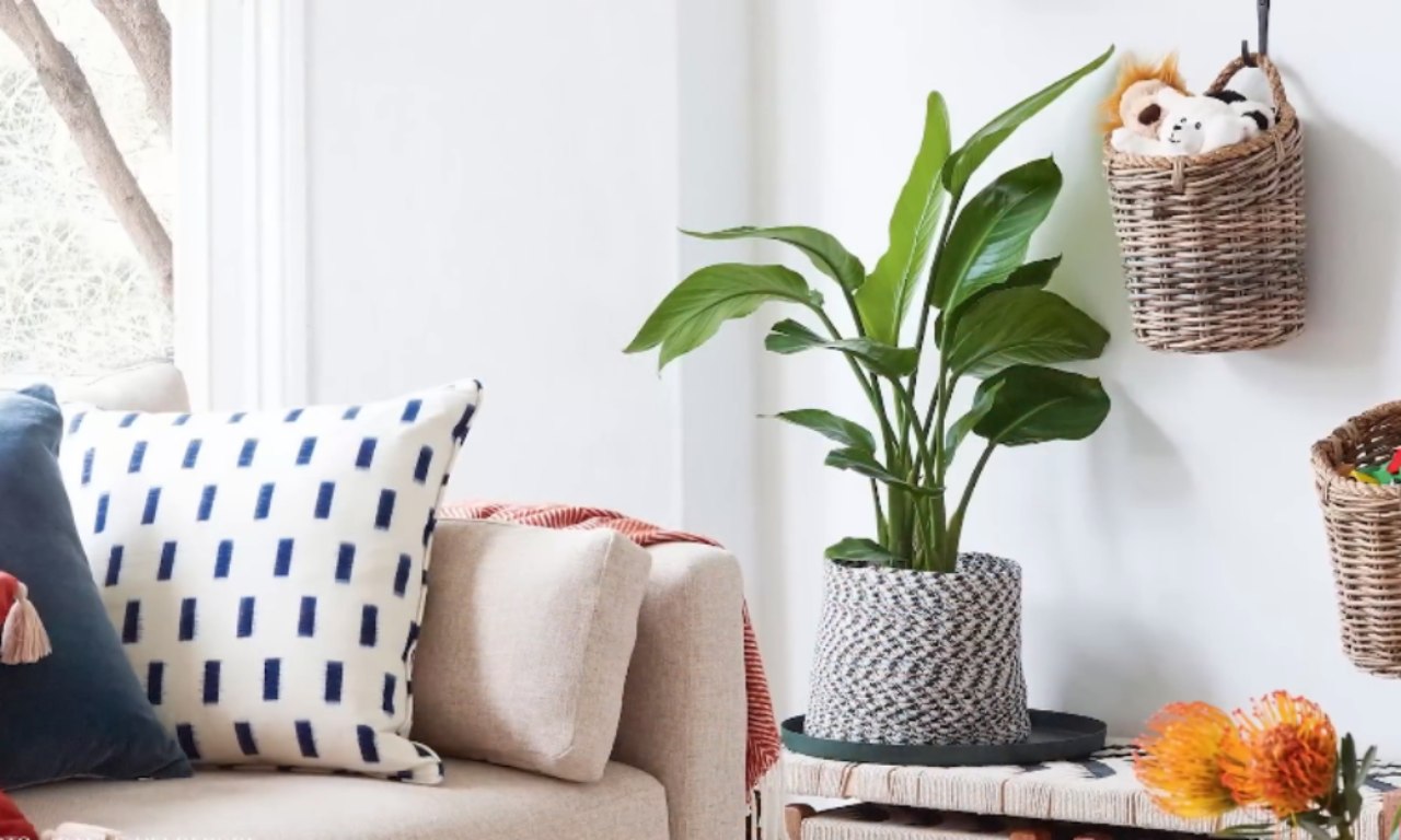 Cozy living room corner featuring a beige sofa with patterned and solid throw pillows, a large potted plant in a woven basket on a side table, and two wicker wall baskets storing toys and stuffed animals. A small bouquet of orange flowers sits in the foreground.