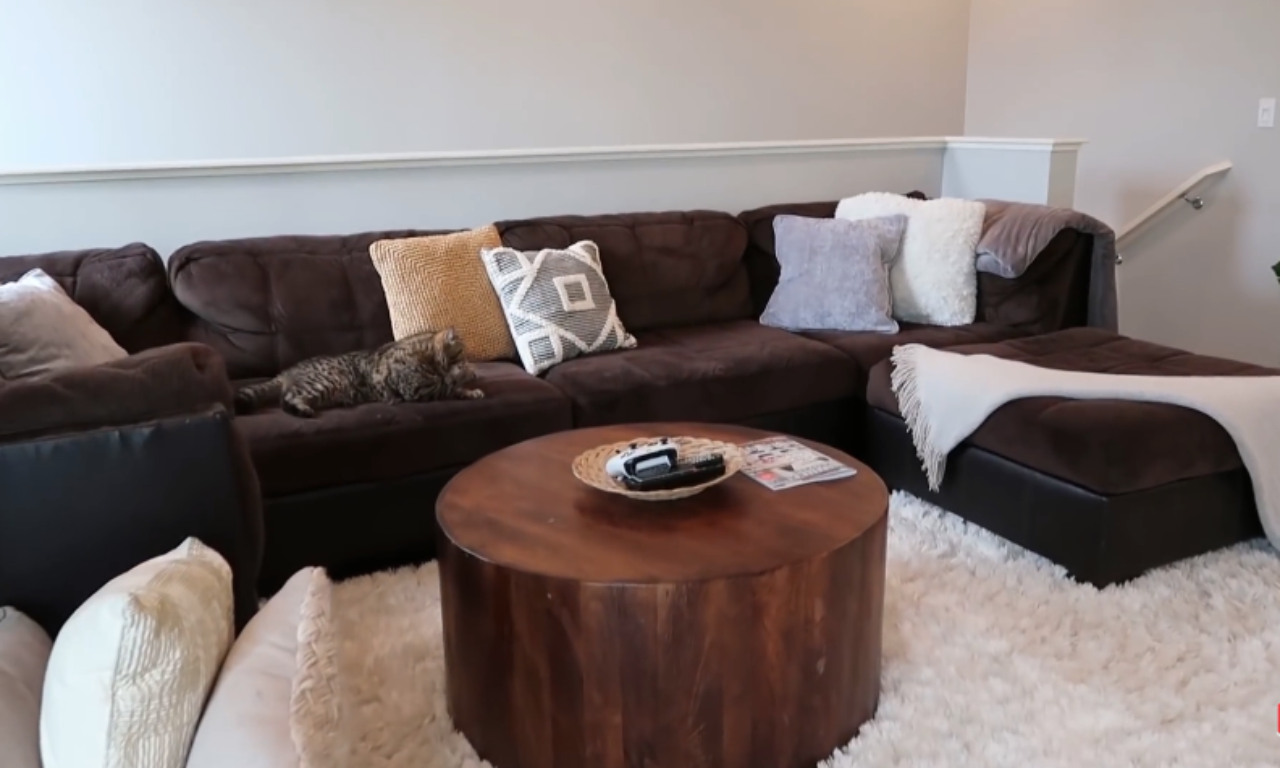 A large, comfortable sectional sofa in dark brown fabric. Several decorative pillows in various colors and patterns are arranged on the couch. A light brown cat is lounging on the cushions. A round wooden coffee table sits in front of the sofa on a fluffy white rug.