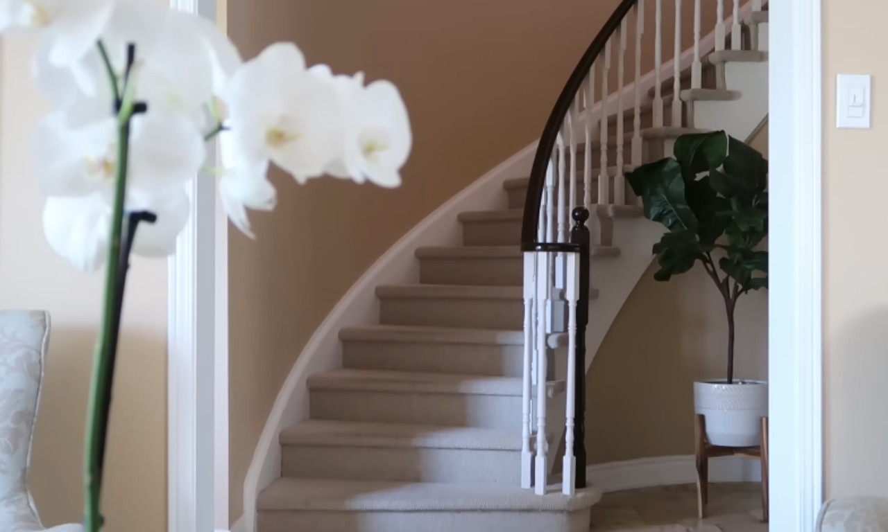 A wide view of a graceful, curved staircase with beige carpeted treads and white risers. The handrail is a dark wood (possibly mahogany or espresso) and the spindles are white. An orchid plant is blurred in the foreground to the left, and a potted faux fig tree sits near the bottom of the stairs to the right.